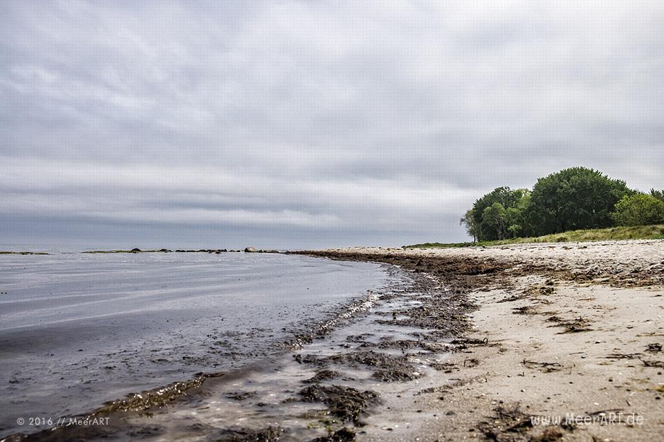 Die Ostseeküste von Kronsgaard bis Ohe-Maasholm // Foto: MeerART