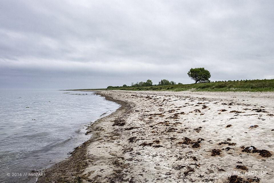 Die Ostseeküste von Kronsgaard bis Ohe-Maasholm // Foto: MeerART