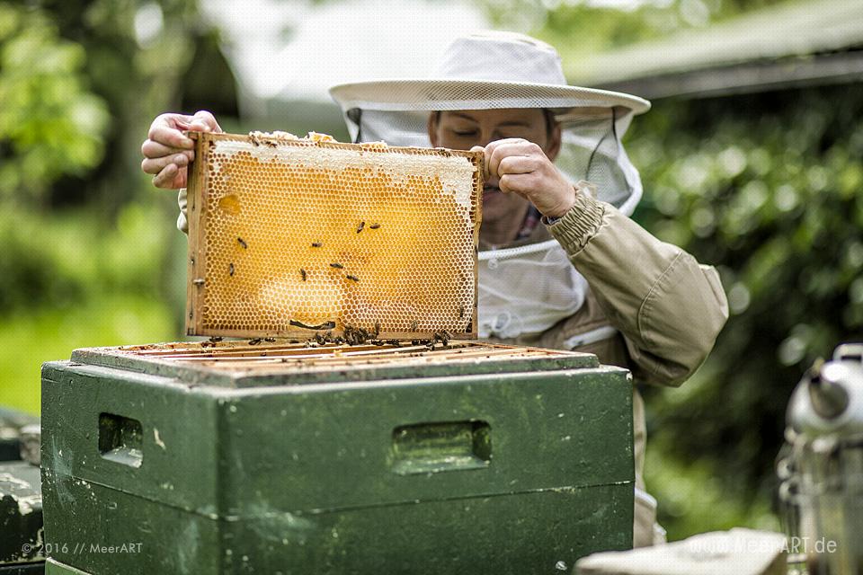 Reportage über die Honigmanufaktur Flügelchen von Agnes Flügel // Foto: R. Kerpa