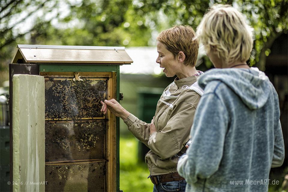 Reportage über die Honigmanufaktur Flügelchen von Agnes Flügel // Foto: R. Kerpa