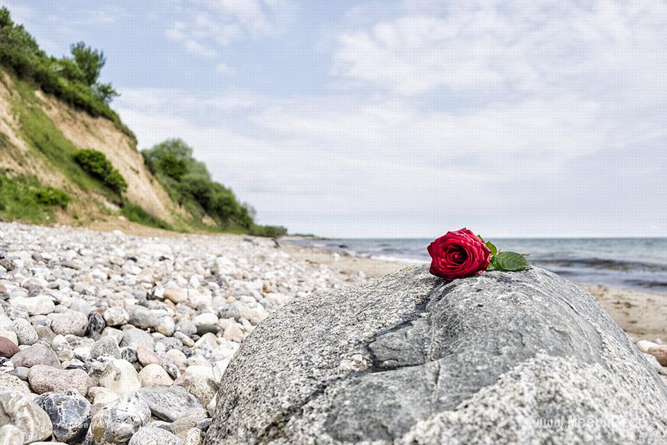 Steilküste an einem Strandabschnitt an der Ostsee bei Waabs // Foto: MeerART