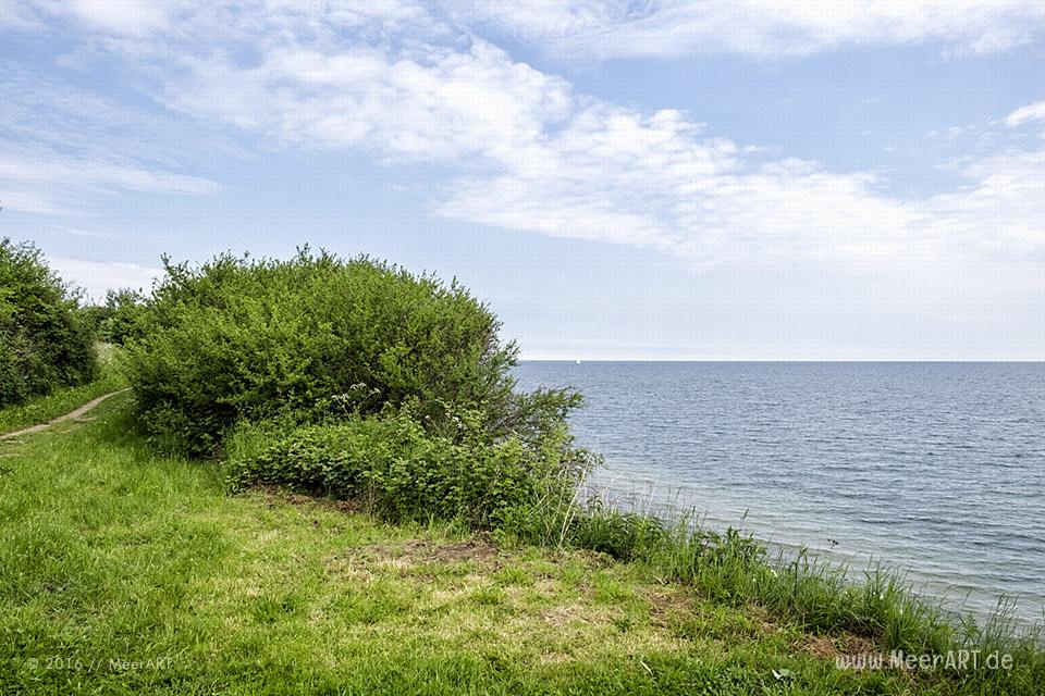 Steilküste an einem Strandabschnitt an der Ostsee bei Waabs // Foto: MeerART