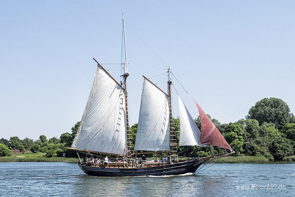 Mitsegeltag auf der Schlei auf dem Traditionssegler „SÆLØER“ // Foto: MeerART