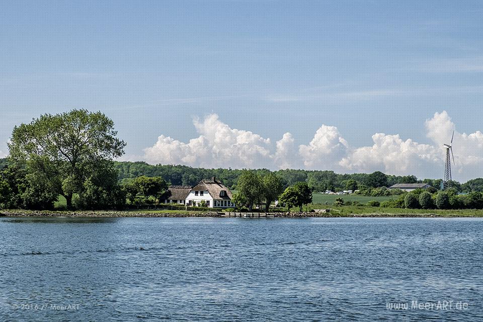 Mitsegeltag auf der Schlei auf dem Traditionssegler „SÆLØER“ // Foto: MeerART