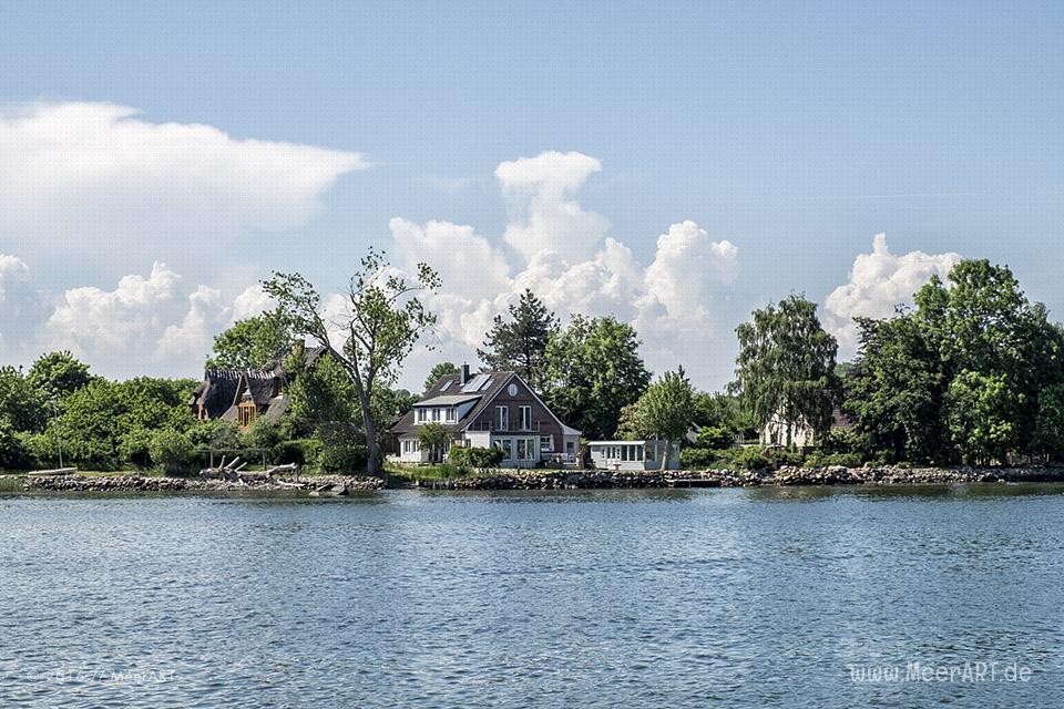 Mitsegeltag auf der Schlei auf dem Traditionssegler „SÆLØER“ // Foto: MeerART