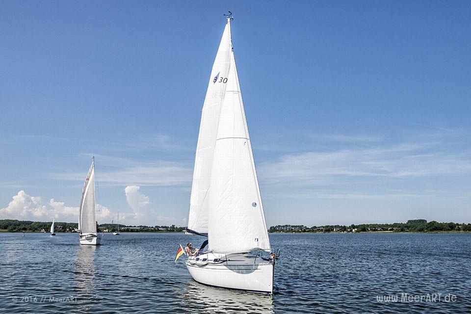 Mitsegeltag auf der Schlei auf dem Traditionssegler „SÆLØER“ // Foto: MeerART / Ralph Kerpa