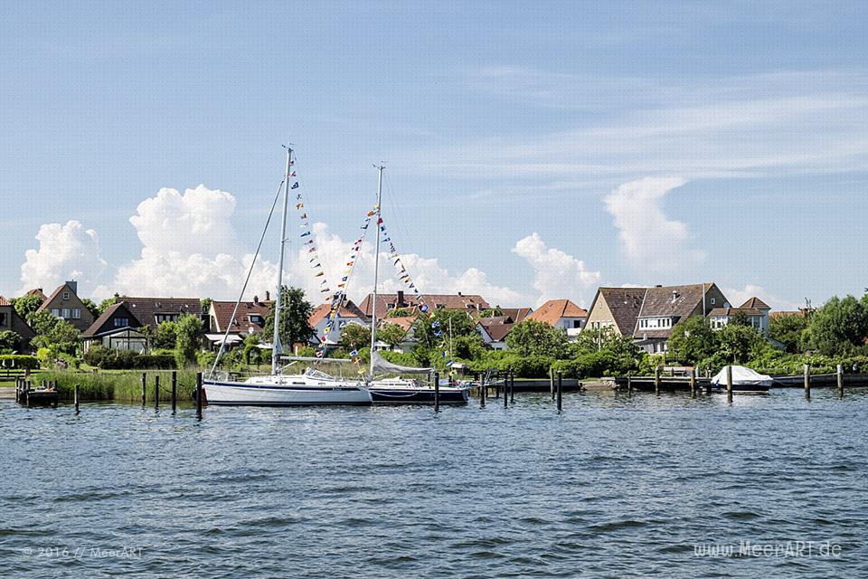 Mitsegeltag auf der Schlei auf dem Traditionssegler „SÆLØER“ // Foto: MeerART