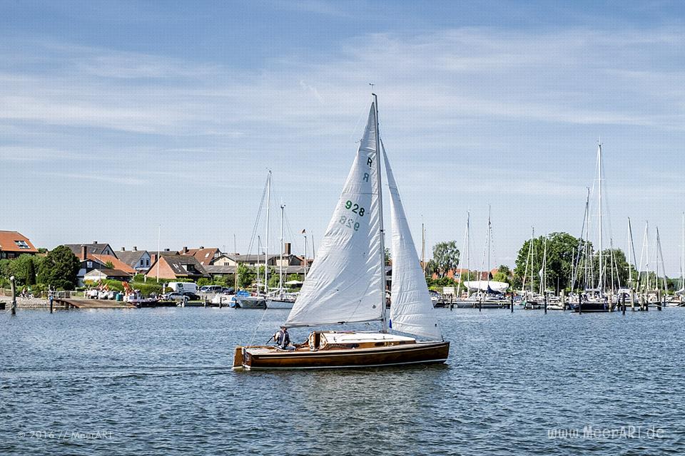 Mitsegeltag auf der Schlei auf dem Traditionssegler „SÆLØER“ // Foto: MeerART