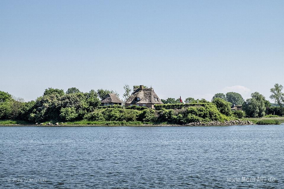 Mitsegeltag auf der Schlei auf dem Traditionssegler „SÆLØER“ // Foto: MeerART