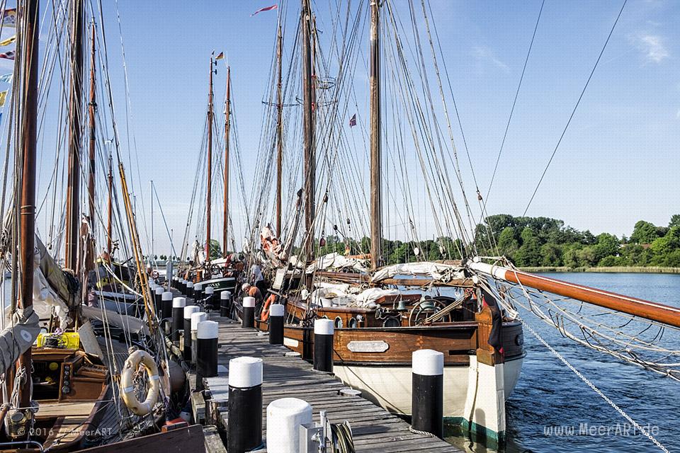 Mitsegeltag auf der Schlei auf dem Traditionssegler „SÆLØER“ // Foto: MeerART
