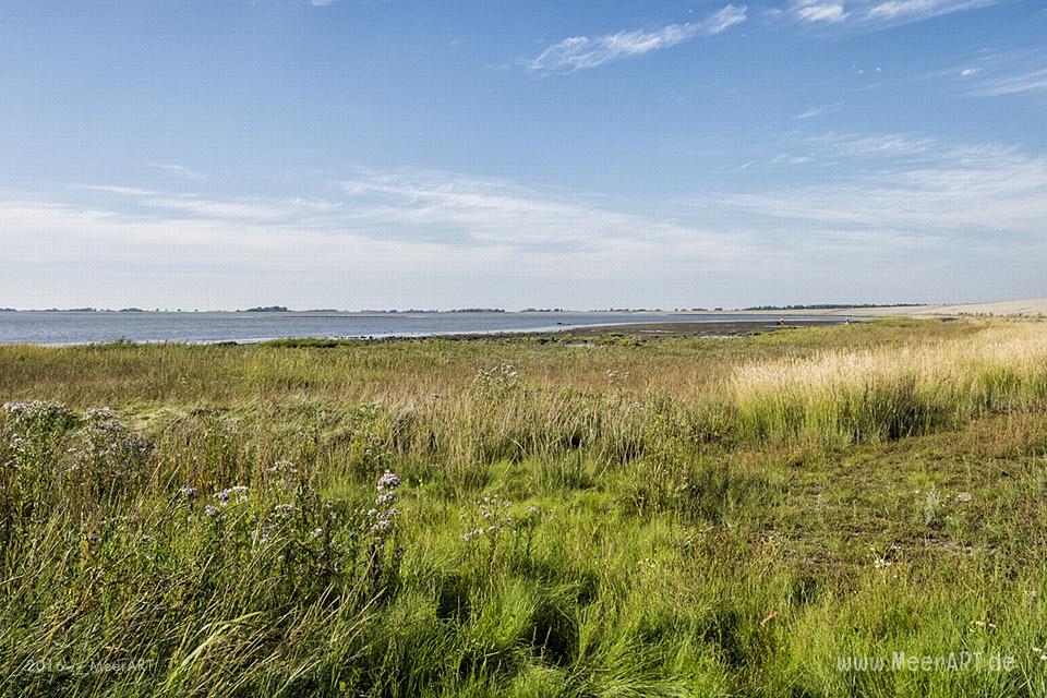 Impressionen vom Eider-Sperrwerk an der Eidermündung bei Tönning // Foto: MeerART
