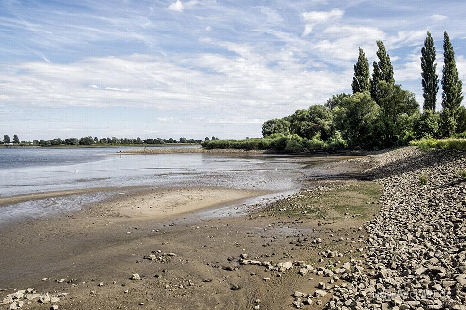 Impressionen von der Elbe bei Over // Foto: MeerART