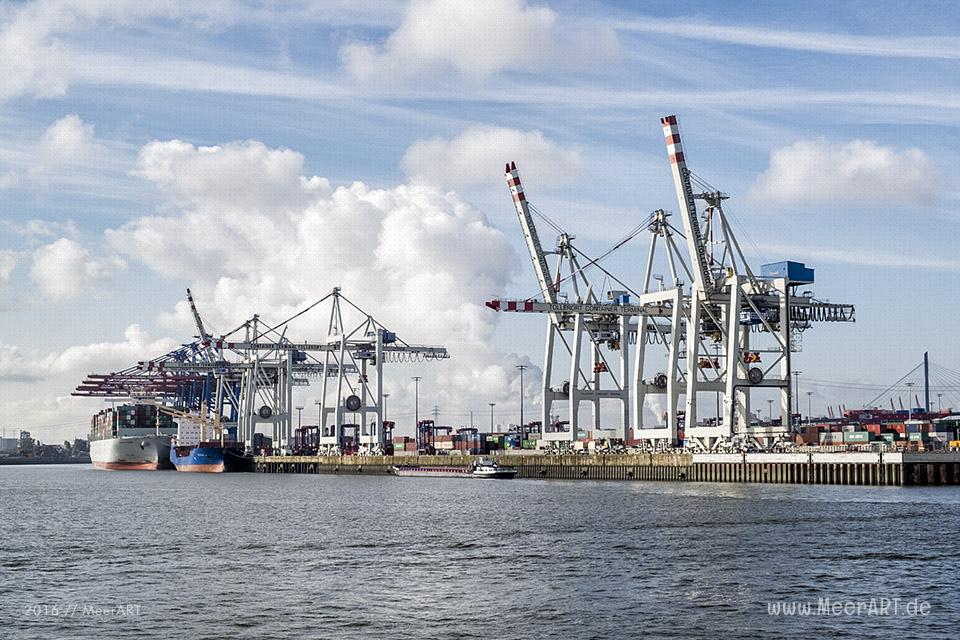 Blick auf den Container Terminal „TOLLERORT“ // Foto: MeerART