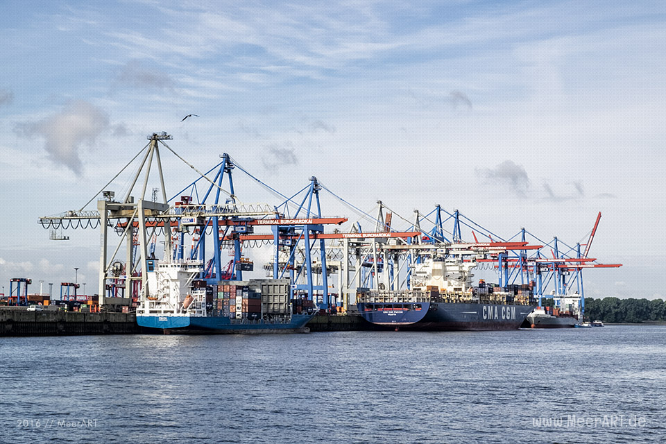 Blick auf den Container Terminal „BURCHARDKAI“ // Foto: MeerART