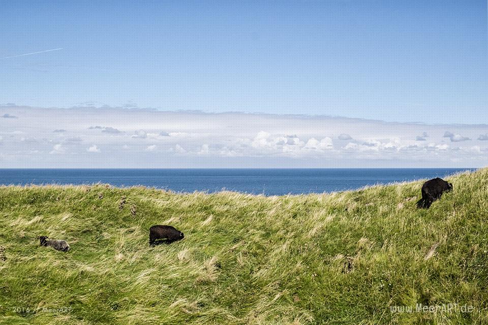 Impressionen von der Hochseeinsel Helgoland (Deät Lun), einer Nordseeinsel in der Deutschen Bucht rund 70 km vom Festland entfernt // Foto: MeerART