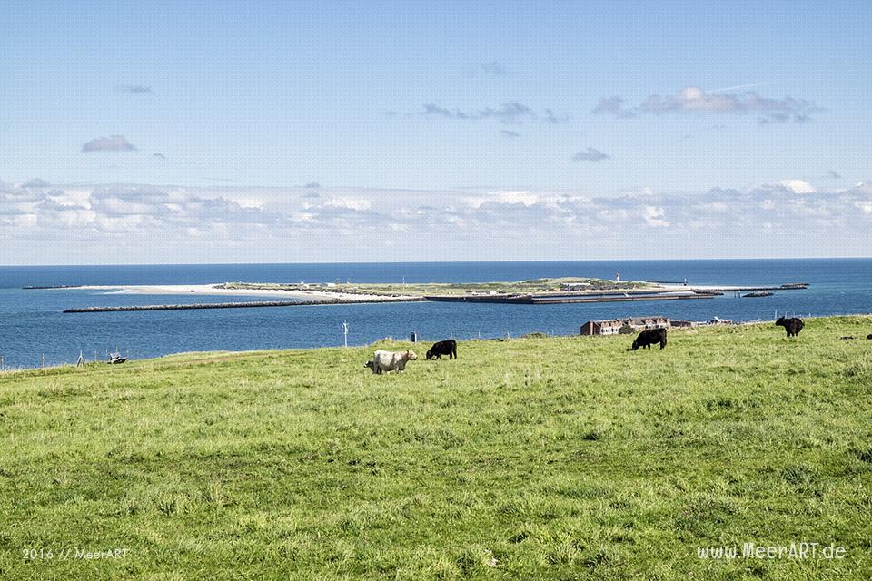 Impressionen von der Hochseeinsel Helgoland (Deät Lun), einer Nordseeinsel in der Deutschen Bucht rund 70 km vom Festland entfernt // Foto: MeerART