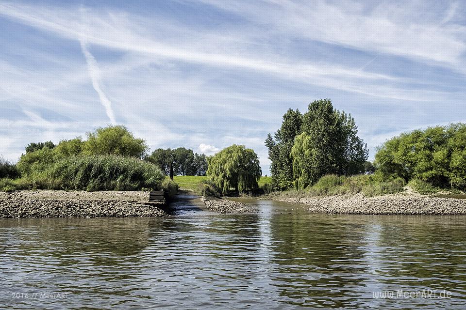 Bootstour auf der Elbe von Hamburg-Moorfleet bis zur Elbinsel bei Geesthacht // Foto: MeerART