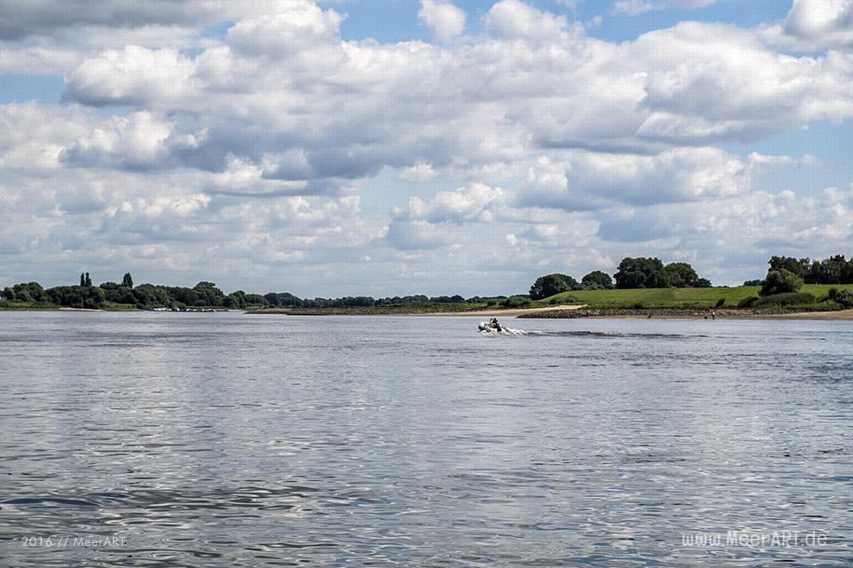 Bootstour auf der Elbe von Hamburg-Moorfleet bis zur Elbinsel bei Geesthacht // Foto: MeerART