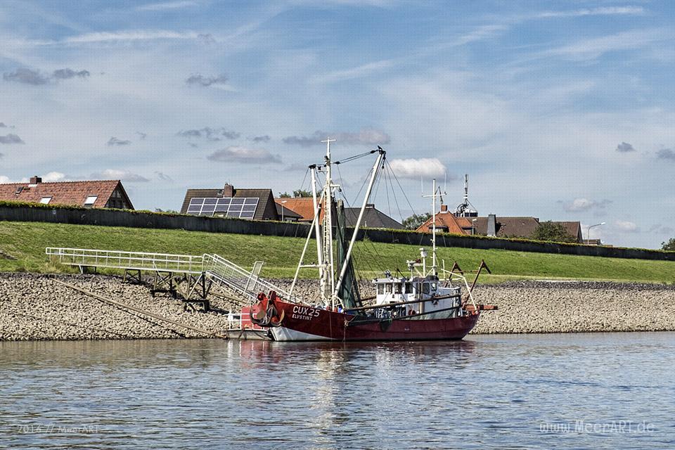 Bootstour auf der Elbe von Hamburg-Moorfleet bis zur Elbinsel bei Geesthacht // Foto: MeerART