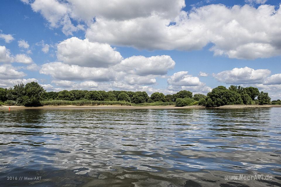 Bootstour auf der Elbe von Hamburg-Moorfleet bis zur Elbinsel bei Geesthacht // Foto: MeerART