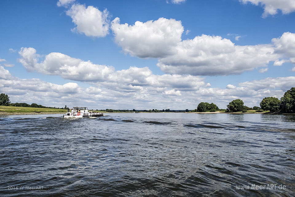 Bootstour auf der Elbe von Hamburg-Moorfleet bis zur Elbinsel bei Geesthacht // Foto: MeerART