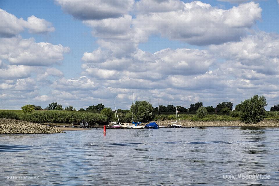 Bootstour auf der Elbe von Hamburg-Moorfleet bis zur Elbinsel bei Geesthacht // Foto: MeerART