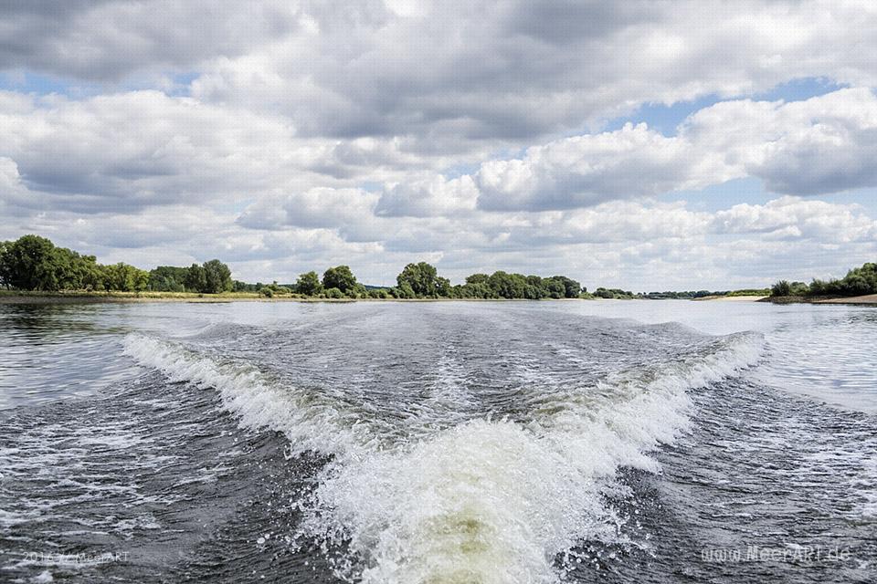 Bootstour auf der Elbe von Hamburg-Moorfleet bis zur Elbinsel bei Geesthacht // Foto: MeerART