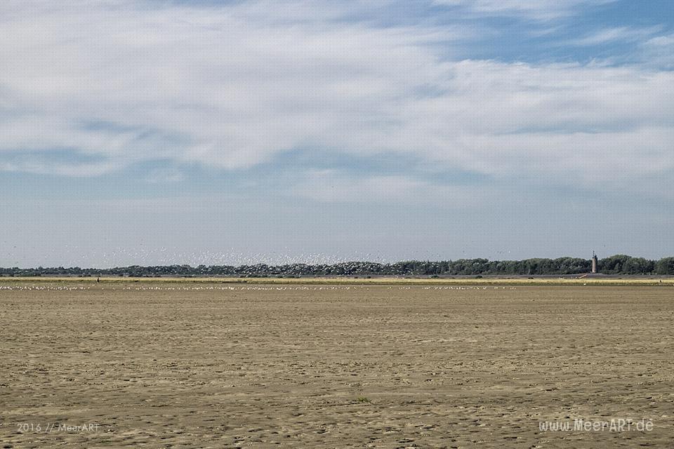 Impressionen aus der größten Sandkiste Deutschlands, der weitläufige Strand an der Nordsee in St. Peter-Ording // Foto: MeerART