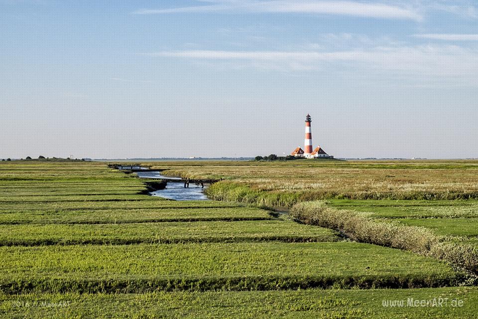 Ein sonniger Sommervormittag an der Nordsee im Watt und auf der Sandbank vor Westerhever // Foto: MeerART