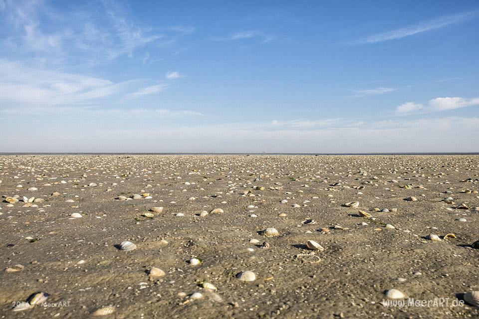 Ein sonniger Sommervormittag an der Nordsee im Watt und auf der Sandbank vor Westerhever // Foto: MeerART