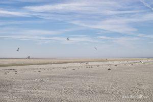 Ein sonniger Sommervormittag an der Nordsee im Watt und auf der Sandbank vor Westerhever // Foto: MeerART