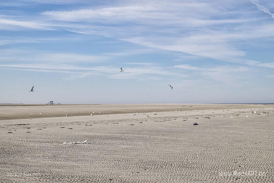 Ein sonniger Sommervormittag an der Nordsee im Watt und auf der Sandbank vor Westerhever // Foto: MeerART