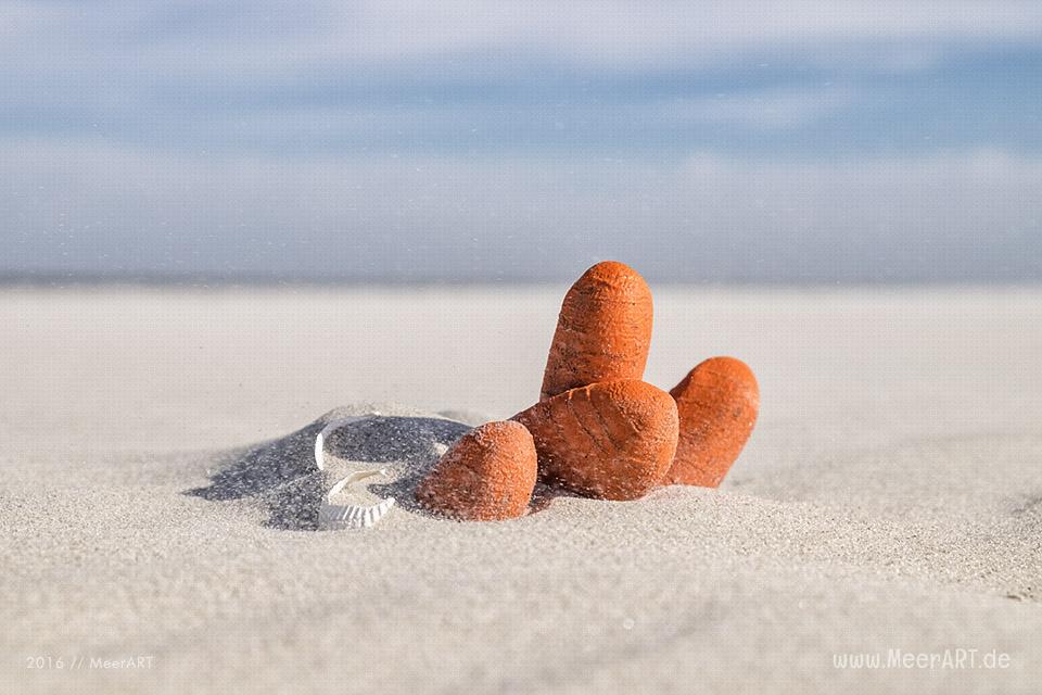 Angespülter Müll auf der Sandbank vor Westerhever // Foto: MeerART / Ralph Kerpa