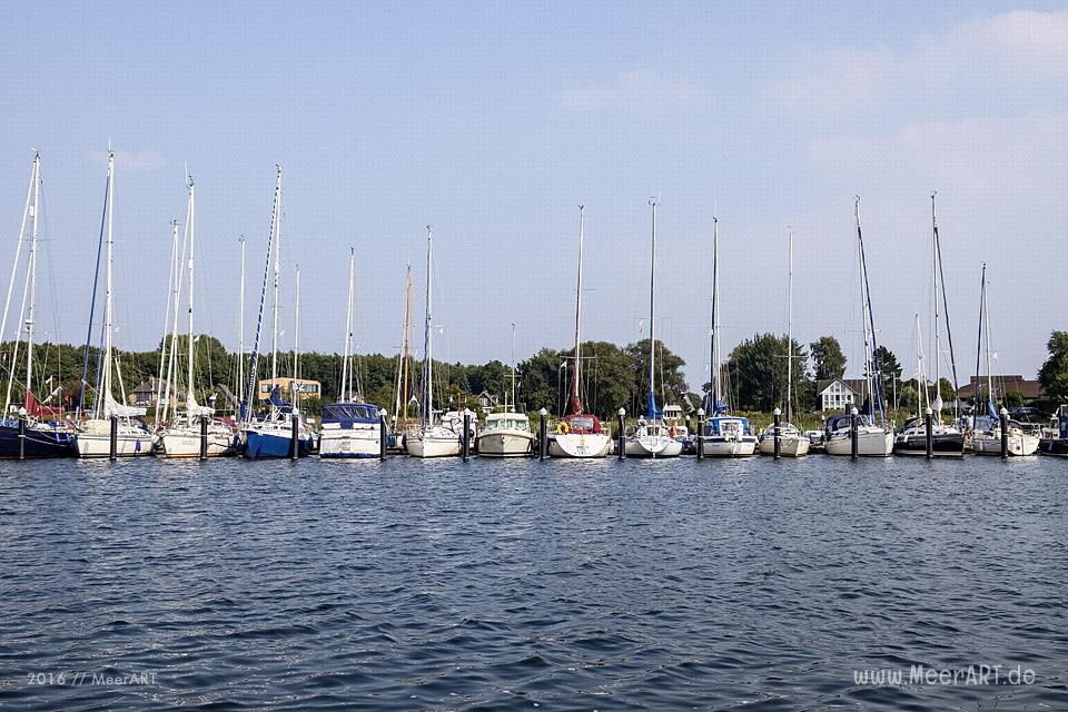 Tour auf der Schlei, von Maasholm bis Lindaunis und zurück // Foto: MeerART