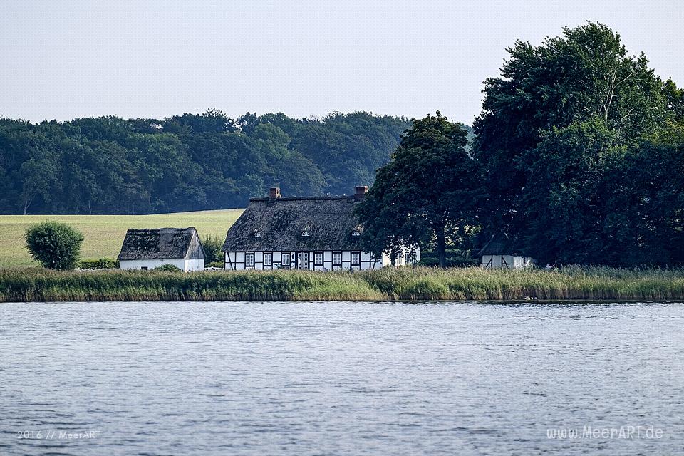 Tour auf der Schlei, von Maasholm bis Lindaunis und zurück // Foto: MeerART