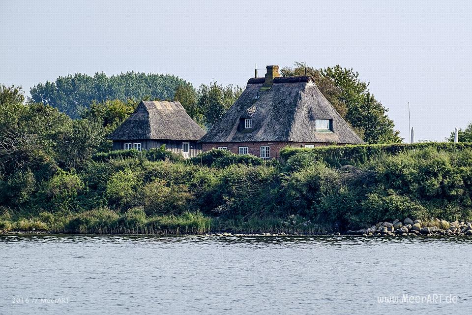 Tour auf der Schlei, von Maasholm bis Lindaunis und zurück // Foto: MeerART