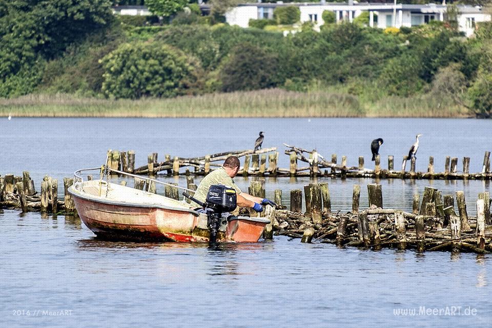 Tour auf der Schlei, von Maasholm bis Lindaunis und zurück // Foto: MeerART