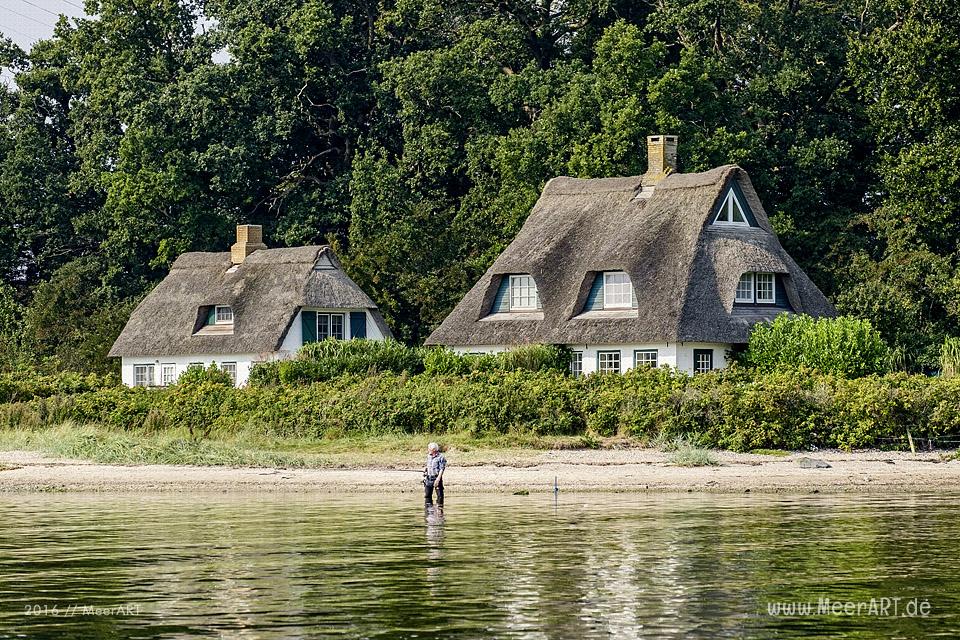 Tour auf der Schlei, von Maasholm bis Lindaunis und zurück // Foto: MeerART