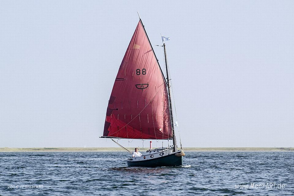 Tour auf der Schlei, von Maasholm bis Lindaunis und zurück // Foto: MeerART