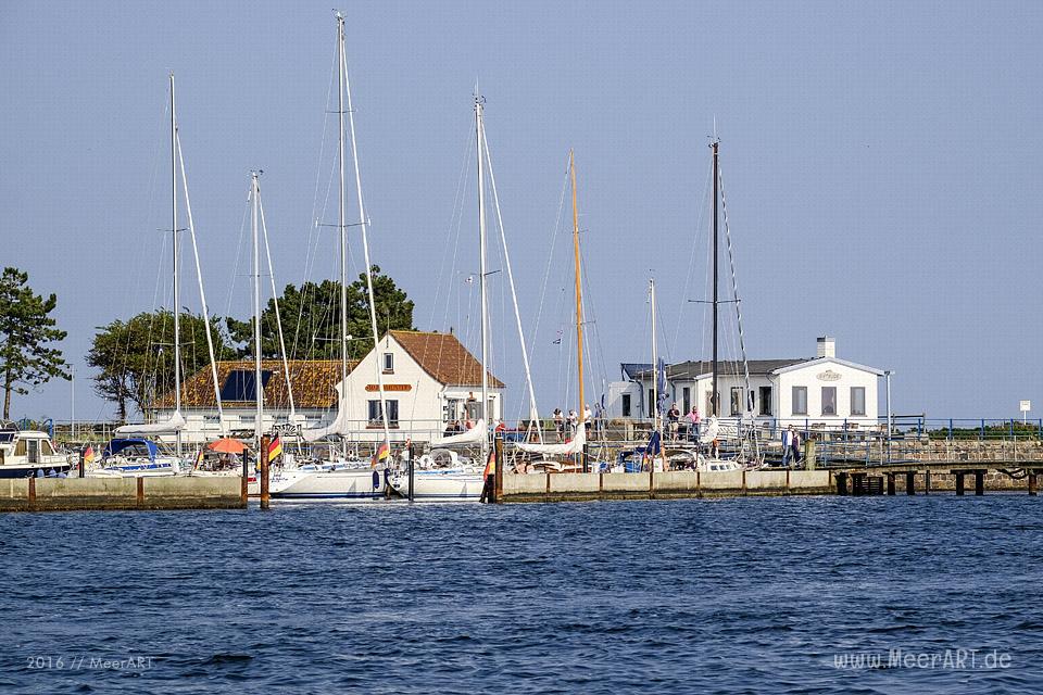Tour auf der Schlei, von Maasholm bis Lindaunis und zurück // Foto: MeerART