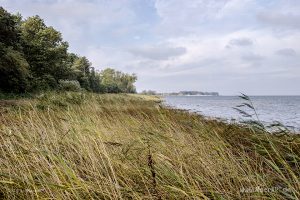 Idyllische und naturbelassene Strandabschnitte bei Zierow an der Wismarer Bucht // Foto: MeerART