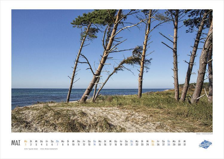 Kalender-Tipp: MeerART // Impressionen 2017