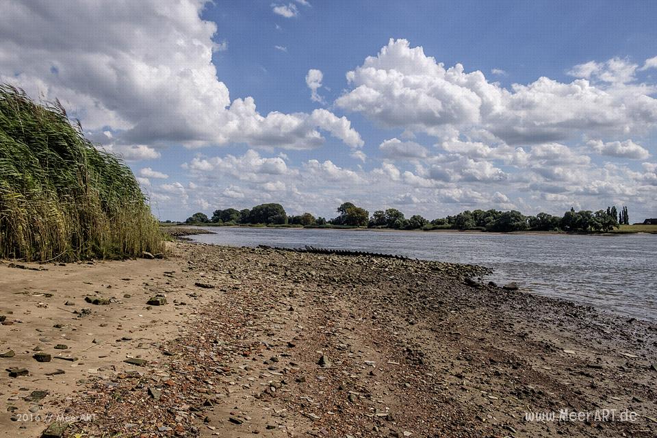 Impressionen von dem Elbufer in Hamburg Overwerder // Foto: MeerART