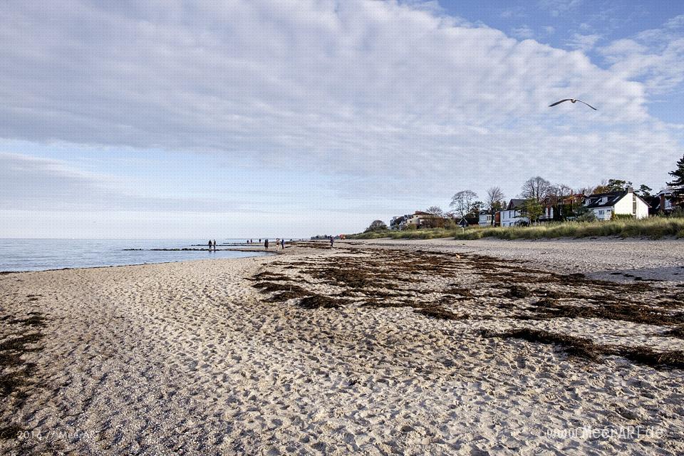 Herbstimpressionen aus dem schönen Ostseeheilbad Niendorf // Foto: MeerART