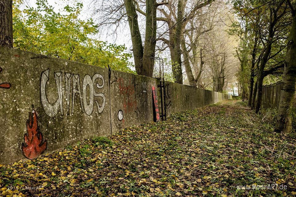 Herbstimpressionen vom Bubendey-Ufer im Hamburger Hafen // Foto: MeerART