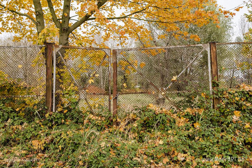Herbstimpressionen vom Bubendey-Ufer im Hamburger Hafen // Foto: MeerART