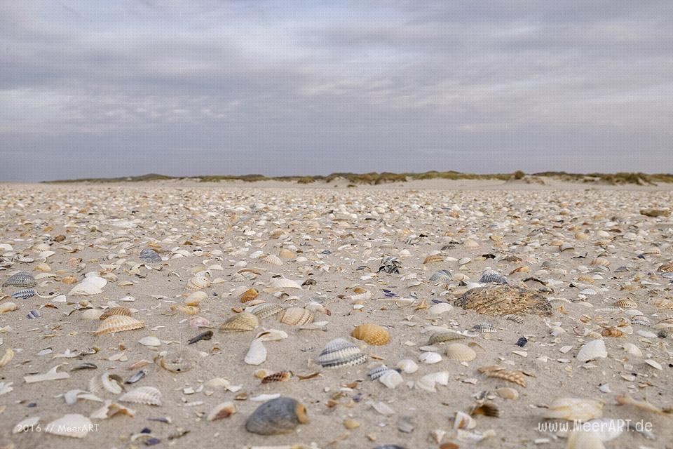 Die Nebensaison auf der nordfriesischen Insel Amrum // Foto: MeerART