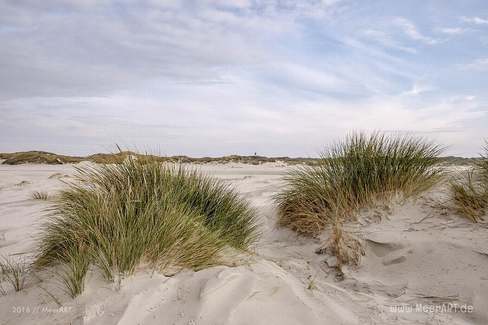 Die Nebensaison auf der nordfriesischen Insel Amrum // Foto: MeerART