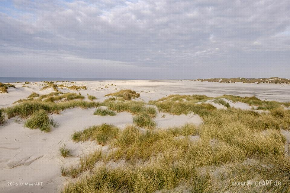 Die Nebensaison auf der nordfriesischen Insel Amrum // Foto: MeerART