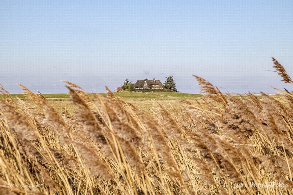 Die Nebensaison auf der nordfriesischen Insel Amrum // Foto: MeerART